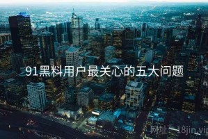 91黑料用户最关心的五大问题