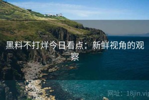 黑料不打烊今日看点：新鲜视角的观察