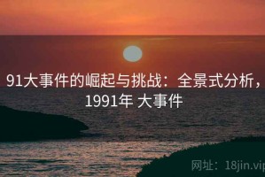91大事件的崛起与挑战：全景式分析，1991年 大事件