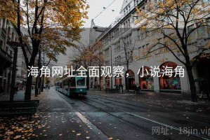 海角网址全面观察，小说海角