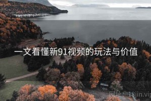 一文看懂新91视频的玩法与价值