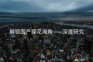 解锁国产探花海角——深度研究