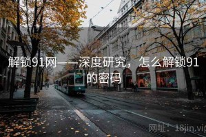 解锁91网——深度研究，怎么解锁91的密码