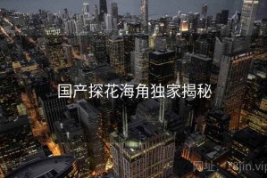 国产探花海角独家揭秘