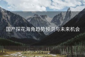 国产探花海角趋势预测与未来机会