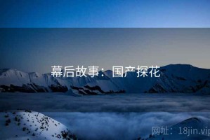 幕后故事：国产探花