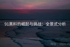 91黑料的崛起与挑战：全景式分析