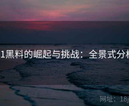 91黑料的崛起与挑战：全景式分析