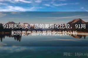 91网和同类产品的差异化比较，91网和同类产品的差异化比较分析