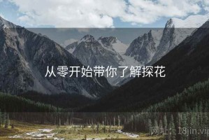从零开始带你了解探花