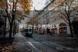 探花的十个使用技巧