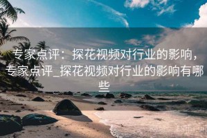 专家点评：探花视频对行业的影响，专家点评_探花视频对行业的影响有哪些