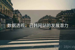 数据透视：日韩网站的发展潜力