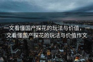 一文看懂国产探花的玩法与价值，一文看懂国产探花的玩法与价值作文