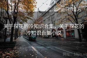关于探花的冷知识合集，关于探花的冷知识合集小说
