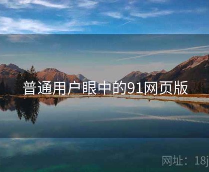 普通用户眼中的91网页版