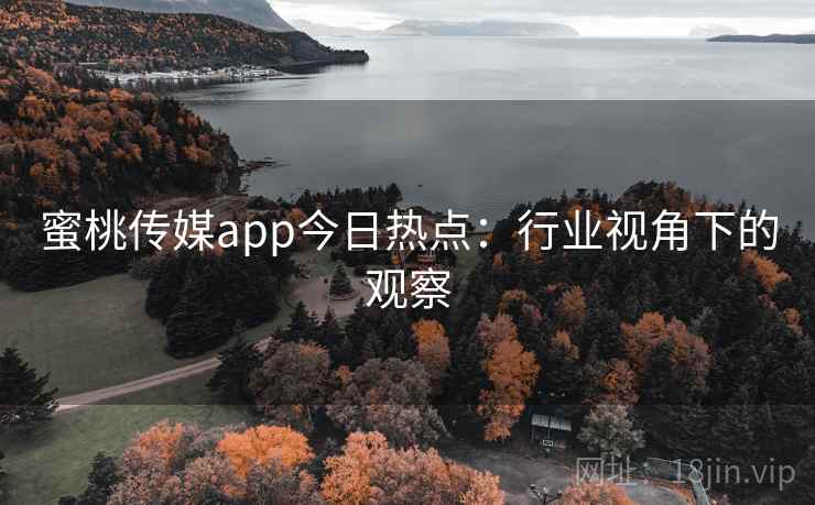 蜜桃传媒app今日热点：行业视角下的观察