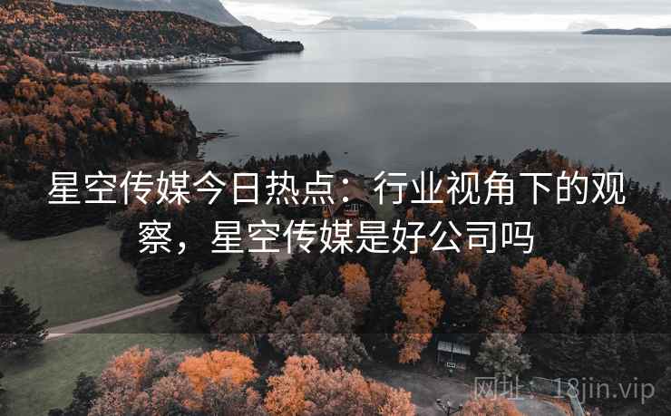 星空传媒今日热点：行业视角下的观察，星空传媒是好公司吗