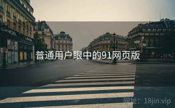 普通用户眼中的91网页版
