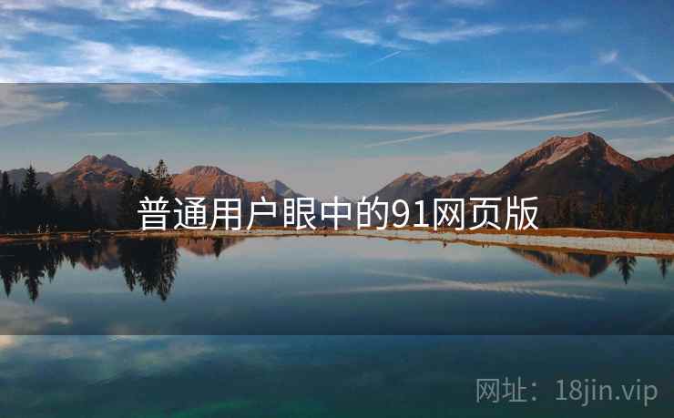 普通用户眼中的91网页版