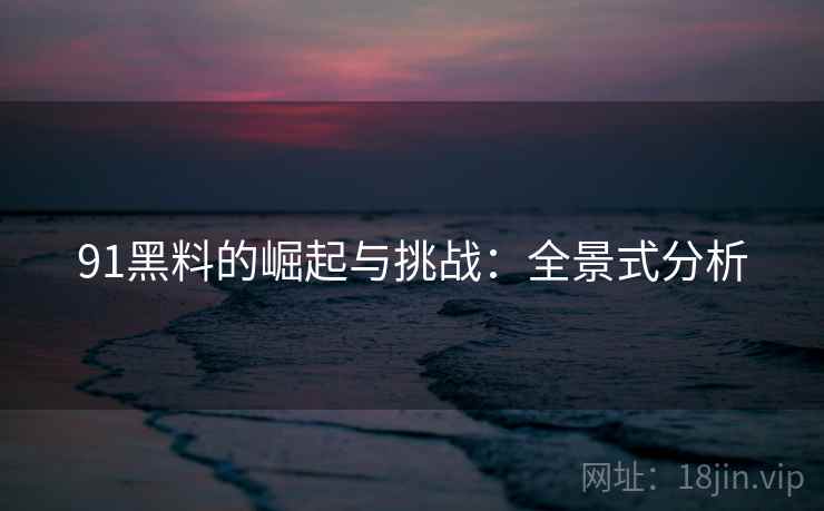91黑料的崛起与挑战：全景式分析
