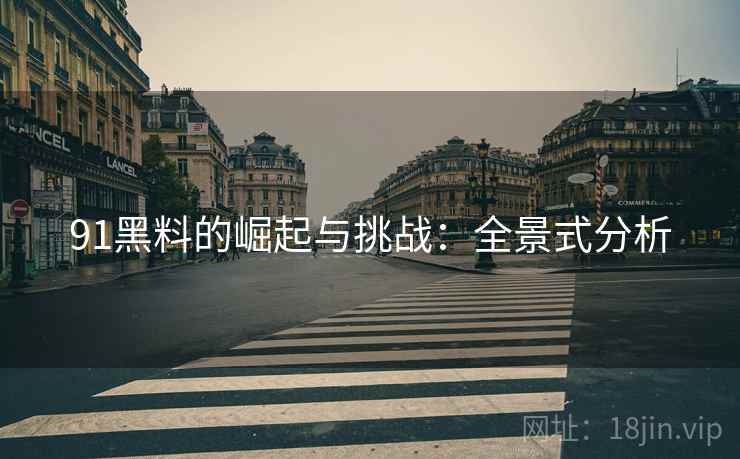 91黑料的崛起与挑战：全景式分析