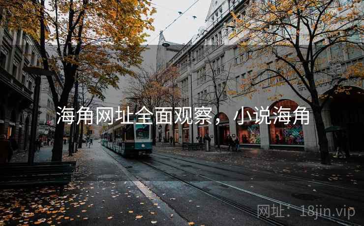 海角网址全面观察，小说海角