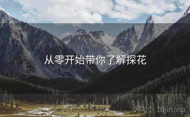 从零开始带你了解探花