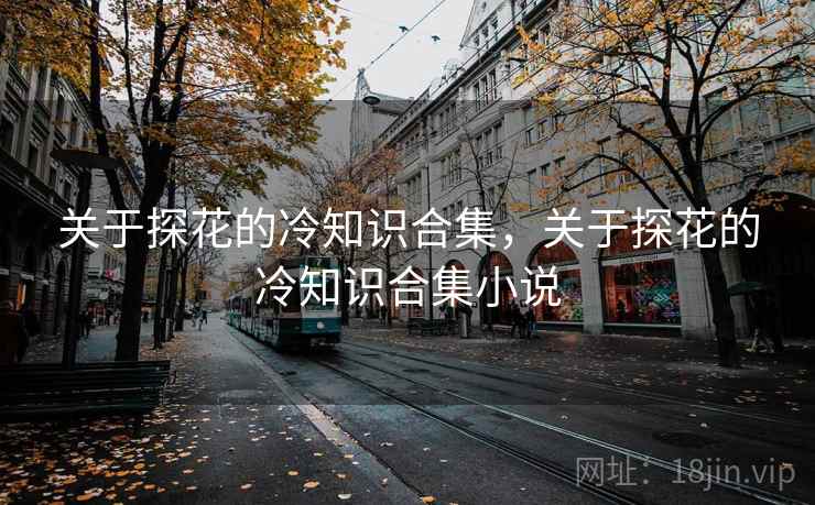 关于探花的冷知识合集，关于探花的冷知识合集小说