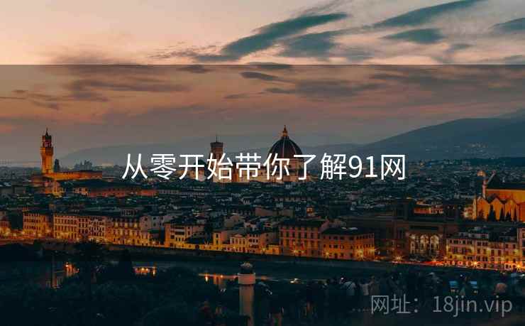 从零开始带你了解91网