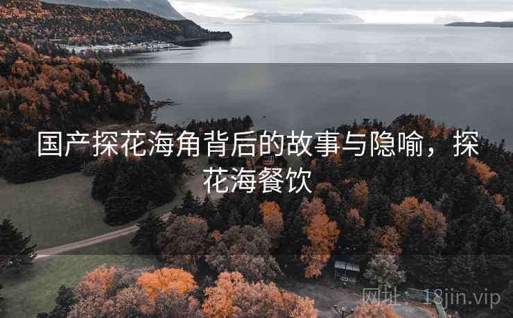 国产探花海角背后的故事与隐喻，探花海餐饮
