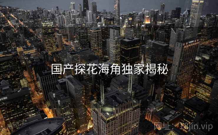 国产探花海角独家揭秘