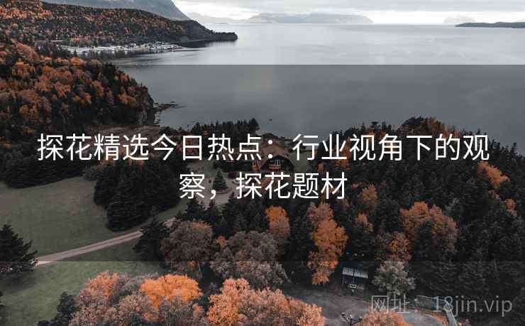 探花精选今日热点：行业视角下的观察，探花题材