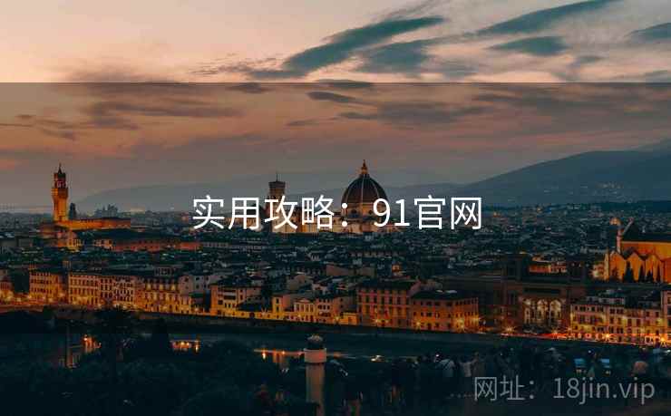 实用攻略：91官网
