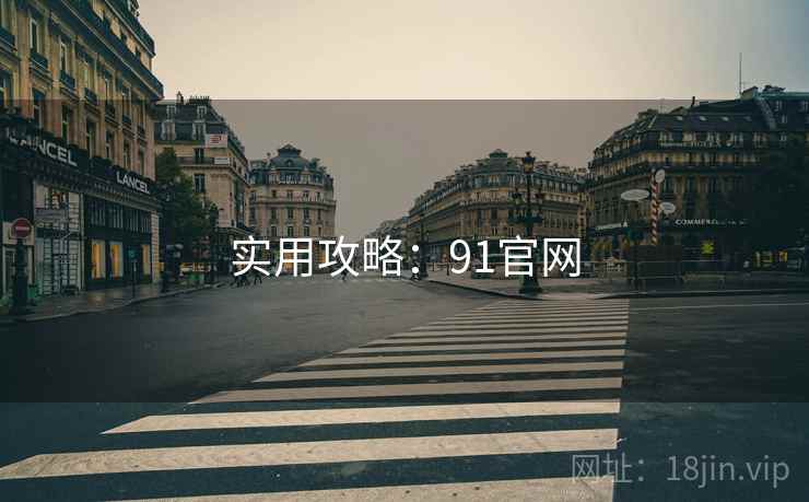 实用攻略：91官网
