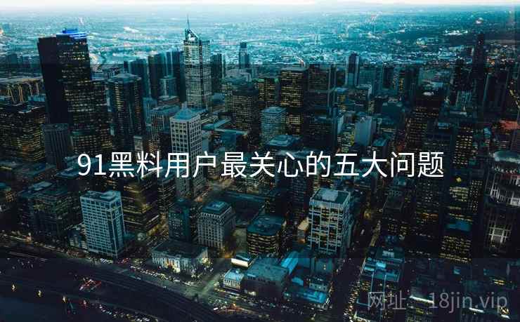 91黑料用户最关心的五大问题