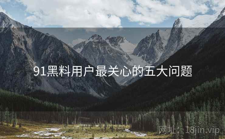 91黑料用户最关心的五大问题