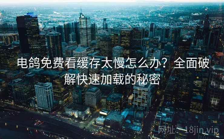 电鸽免费看缓存太慢怎么办？全面破解快速加载的秘密