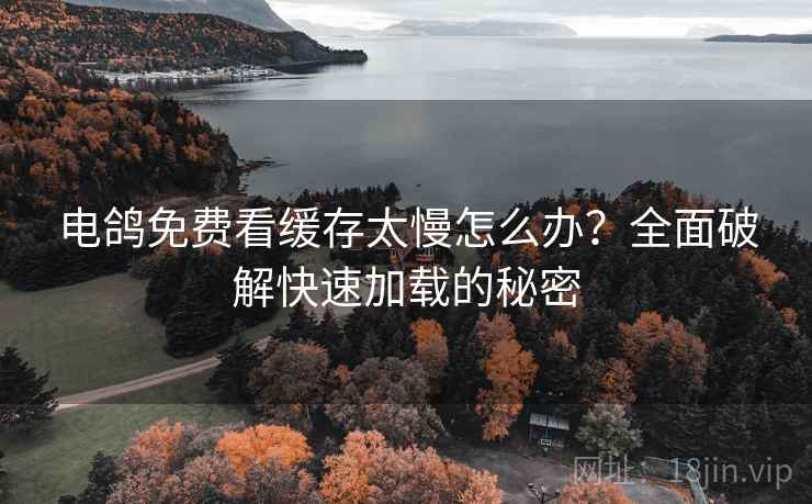 电鸽免费看缓存太慢怎么办？全面破解快速加载的秘密