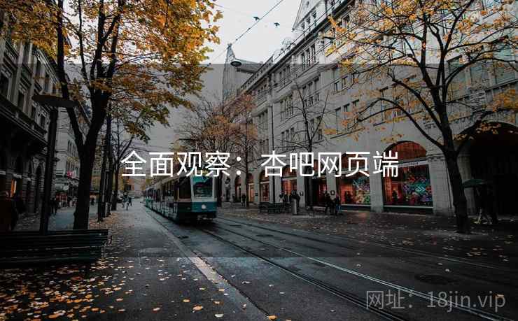 全面观察：杏吧网页端