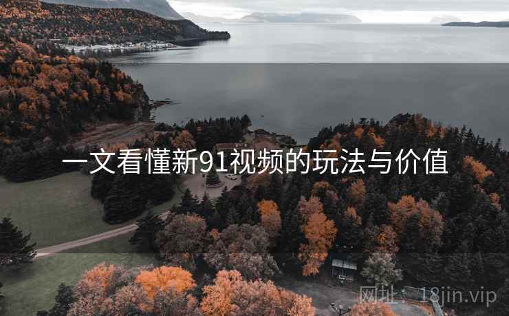 一文看懂新91视频的玩法与价值