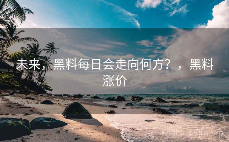 未来，黑料每日会走向何方？，黑料涨价