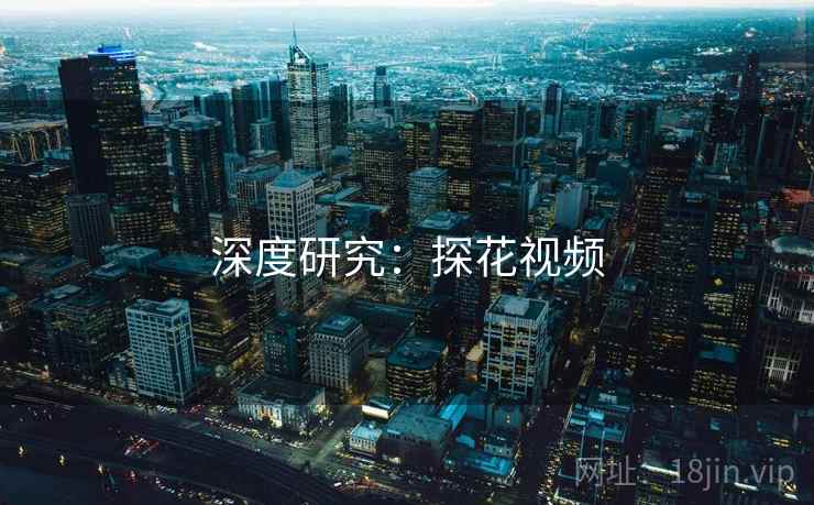 深度研究：探花视频