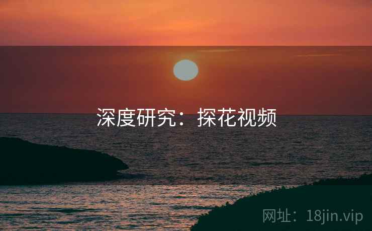 深度研究：探花视频