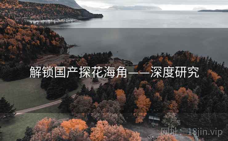 解锁国产探花海角——深度研究