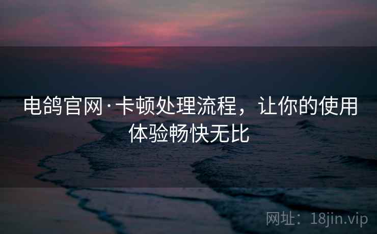 电鸽官网·卡顿处理流程，让你的使用体验畅快无比