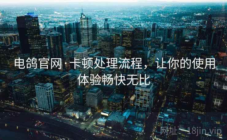 电鸽官网·卡顿处理流程，让你的使用体验畅快无比