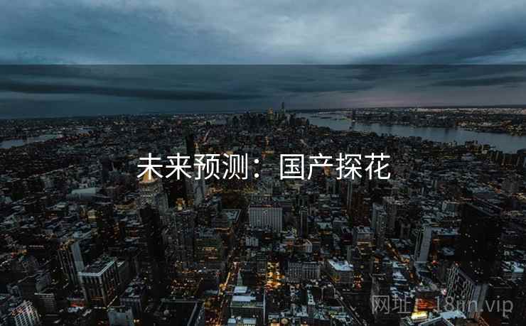 未来预测：国产探花