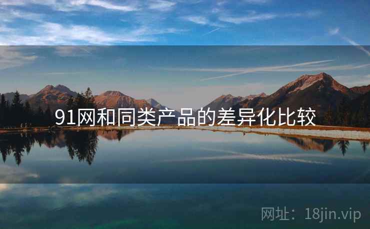 91网和同类产品的差异化比较