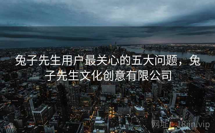兔子先生用户最关心的五大问题，兔子先生文化创意有限公司